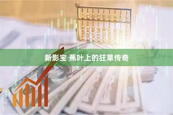 新影宝 蕉叶上的狂草传奇