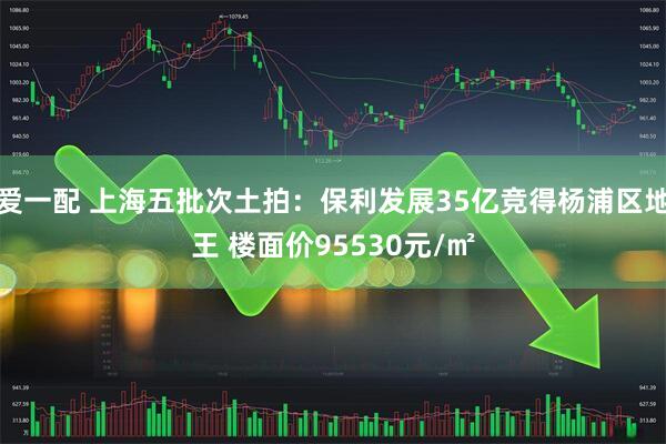爱一配 上海五批次土拍：保利发展35亿竞得杨浦区地王 楼面价95530元/㎡