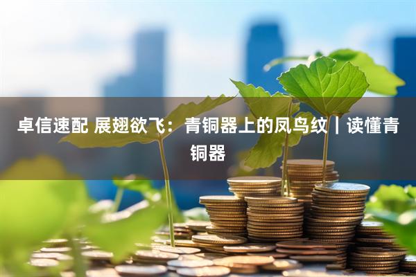 卓信速配 展翅欲飞：青铜器上的凤鸟纹｜读懂青铜器