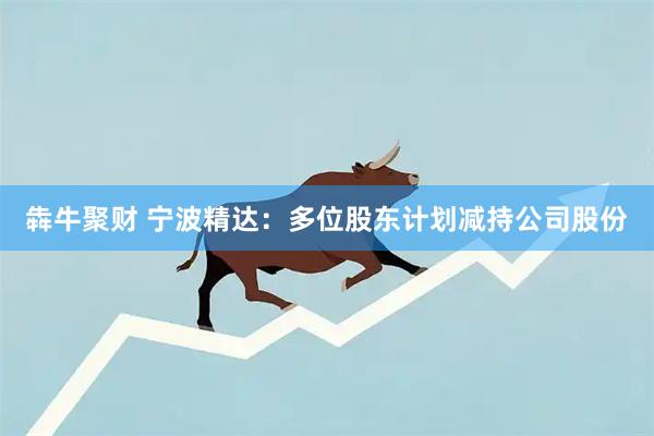 犇牛聚财 宁波精达:多位股东计划减持公司股份