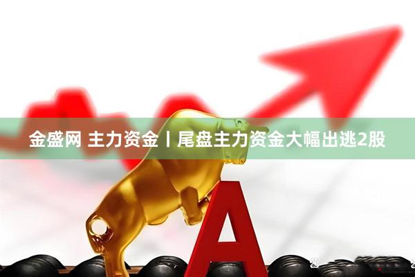 金盛网 主力资金丨尾盘主力资金大幅出逃2股