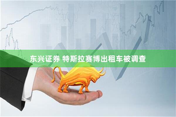 东兴证券 特斯拉赛博出租车被调查
